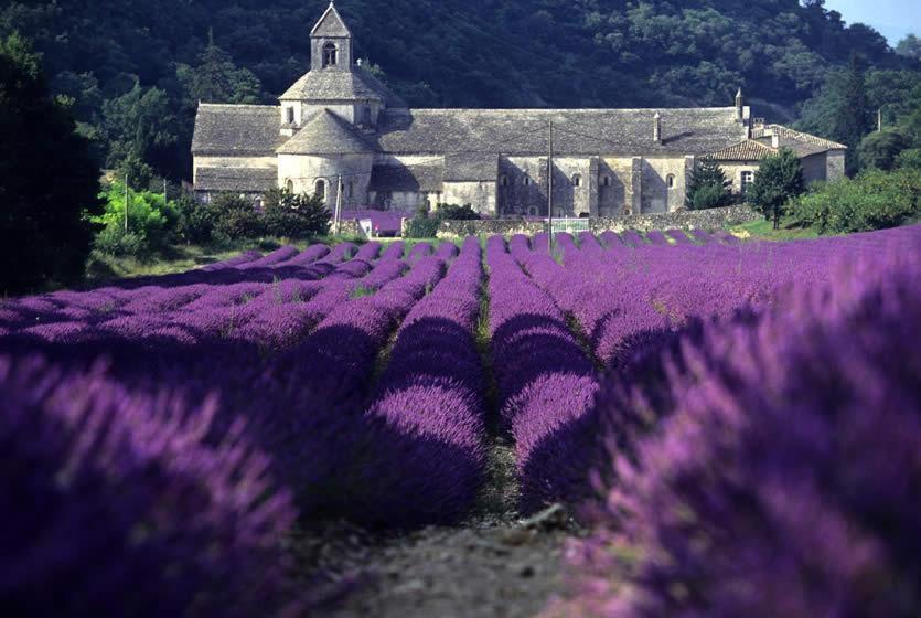 Gite Hanna En Luberon - Le Boisset De St Martin De Castillon Saint-Martin-de-Castillon Exterior photo